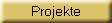 Projekte